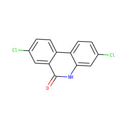 O=c1[nH]c2cc(Cl)ccc2c2ccc(Cl)cc12 ZINC000017380298