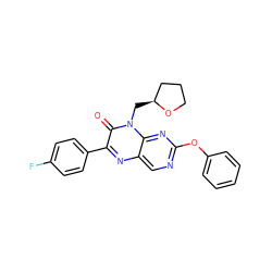 O=c1c(-c2ccc(F)cc2)nc2cnc(Oc3ccccc3)nc2n1C[C@H]1CCCO1 ZINC000004238216