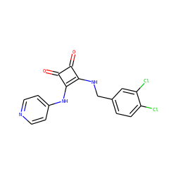 O=c1c(NCc2ccc(Cl)c(Cl)c2)c(Nc2ccncc2)c1=O ZINC000102921462