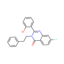O=c1c2ccc(F)cc2nc(-c2ccccc2O)n1CCc1ccccc1 ZINC000028130835