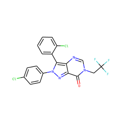 O=c1c2nn(-c3ccc(Cl)cc3)c(-c3ccccc3Cl)c2ncn1CC(F)(F)F ZINC000028568455