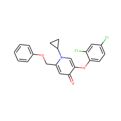 O=c1cc(COc2ccccc2)n(C2CC2)cc1Oc1ccc(Cl)cc1Cl ZINC000141720325