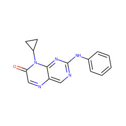 O=c1cnc2cnc(Nc3ccccc3)nc2n1C1CC1 ZINC000004238747