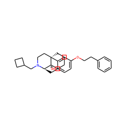 O[C@@]12CCCC[C@@]13CCN(CC1CCC1)[C@@H]2Cc1ccc(OCCc2ccccc2)cc13 ZINC000040979496