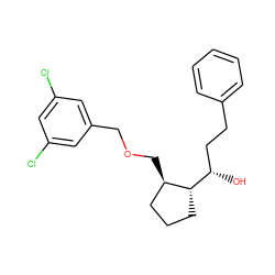 O[C@@H](CCc1ccccc1)[C@@H]1CCC[C@H]1COCc1cc(Cl)cc(Cl)c1 ZINC000028571442
