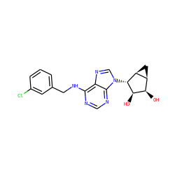 O[C@@H]1[C@H](O)[C@@H]2C[C@@H]2[C@H]1n1cnc2c(NCc3cccc(Cl)c3)ncnc21 ZINC000045317997