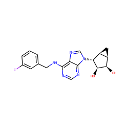 O[C@@H]1[C@H](O)[C@@H]2C[C@@H]2[C@H]1n1cnc2c(NCc3cccc(I)c3)ncnc21 ZINC000045253852