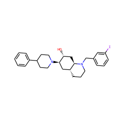 O[C@@H]1C[C@@H]2[C@H](CCCN2Cc2cccc(I)c2)C[C@H]1N1CCC(c2ccccc2)CC1 ZINC000013799377