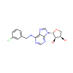 O[C@@H]1CO[C@@H](n2cnc3c(NCc4cccc(Cl)c4)ncnc32)[C@@H]1O ZINC000043074323