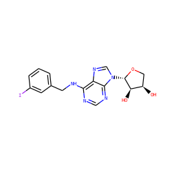 O[C@@H]1CO[C@@H](n2cnc3c(NCc4cccc(I)c4)ncnc32)[C@@H]1O ZINC000043019486