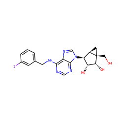 OC[C@]12C[C@@H]1[C@H](n1cnc3c(NCc4cccc(I)c4)ncnc31)[C@@H](O)[C@H]2O ZINC000100919505