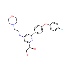 OC[C@H](O)c1cc(NCCN2CCOCC2)cc(-c2ccc(Oc3ccc(F)cc3)cc2)n1 ZINC000114627492