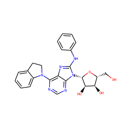 OC[C@H]1O[C@@H](n2c(Nc3ccccc3)nc3c(N4CCc5ccccc54)ncnc32)[C@H](O)[C@@H]1O ZINC000006745073