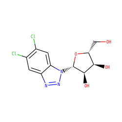 OC[C@H]1O[C@@H](n2nnc3cc(Cl)c(Cl)cc32)[C@H](O)[C@@H]1O ZINC000028113811