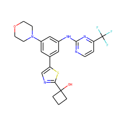 OC1(c2ncc(-c3cc(Nc4nccc(C(F)(F)F)n4)cc(N4CCOCC4)c3)s2)CCC1 ZINC000140793145
