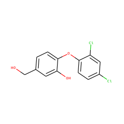 OCc1ccc(Oc2ccc(Cl)cc2Cl)c(O)c1 ZINC000028869360
