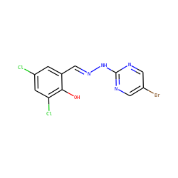Oc1c(Cl)cc(Cl)cc1/C=N/Nc1ncc(Br)cn1 ZINC000004595567