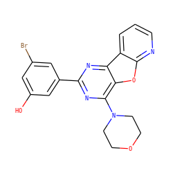 Oc1cc(Br)cc(-c2nc(N3CCOCC3)c3oc4ncccc4c3n2)c1 ZINC000103256483