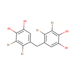 Oc1cc(Cc2cc(O)c(O)c(Br)c2Br)c(Br)c(Br)c1O ZINC000028979748