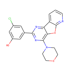 Oc1cc(Cl)cc(-c2nc(N3CCOCC3)c3oc4ncccc4c3n2)c1 ZINC000103256481