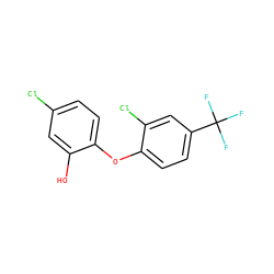 Oc1cc(Cl)ccc1Oc1ccc(C(F)(F)F)cc1Cl ZINC000095602817