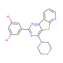 Oc1cc(O)cc(-c2nc(N3CCOCC3)c3oc4ncccc4c3n2)c1 ZINC000103256468