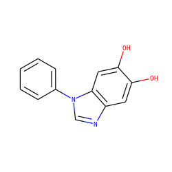 Oc1cc2ncn(-c3ccccc3)c2cc1O ZINC000013798317