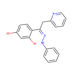 Oc1ccc(/C(Cc2ccccn2)=N\Nc2ccccc2)c(O)c1 ZINC000005560403