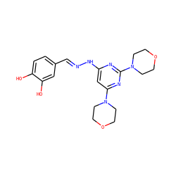 Oc1ccc(/C=N/Nc2cc(N3CCOCC3)nc(N3CCOCC3)n2)cc1O ZINC000004679012