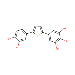 Oc1ccc(-c2ccc(-c3cc(O)c(O)c(O)c3)s2)cc1O ZINC000203670931