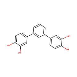 Oc1ccc(-c2cccc(-c3ccc(O)c(O)c3)c2)cc1O ZINC000095590537