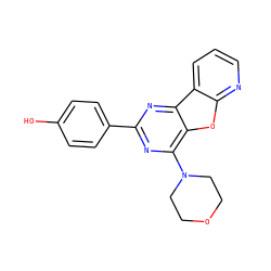 Oc1ccc(-c2nc(N3CCOCC3)c3oc4ncccc4c3n2)cc1 ZINC000028707088