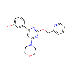 Oc1cccc(-c2cc(N3CCOCC3)nc(OCc3ccccn3)n2)c1 ZINC000066251984