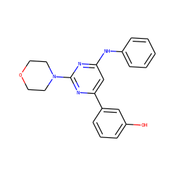 Oc1cccc(-c2cc(Nc3ccccc3)nc(N3CCOCC3)n2)c1 ZINC000064560551