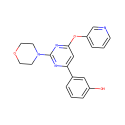 Oc1cccc(-c2cc(Oc3cccnc3)nc(N3CCOCC3)n2)c1 ZINC000064573286
