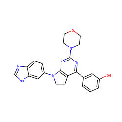 Oc1cccc(-c2nc(N3CCOCC3)nc3c2CCN3c2ccc3nc[nH]c3c2)c1 ZINC000066074541