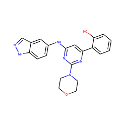 Oc1ccccc1-c1cc(Nc2ccc3[nH]ncc3c2)nc(N2CCOCC2)n1 ZINC000064559519