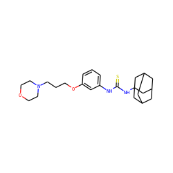 S=C(Nc1cccc(OCCCN2CCOCC2)c1)NC12CC3CC(CC(C3)C1)C2 ZINC000040391121