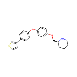 c1cc(-c2ccc(Oc3ccc(OC[C@@H]4CCCCN4)cc3)cc2)cs1 ZINC000049784749