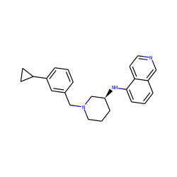 c1cc(CN2CCC[C@H](Nc3cccc4cnccc34)C2)cc(C2CC2)c1 ZINC000114332581