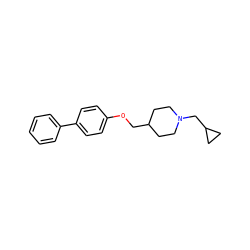 c1ccc(-c2ccc(OCC3CCN(CC4CC4)CC3)cc2)cc1 ZINC000013730017