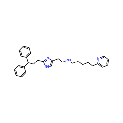 c1ccc(C(CCc2nc(CCNCCCCCc3ccccn3)c[nH]2)c2ccccc2)cc1 ZINC000013530324