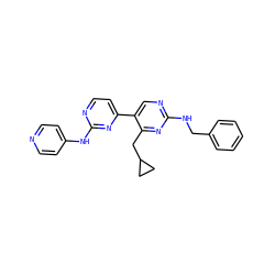 c1ccc(CNc2ncc(-c3ccnc(Nc4ccncc4)n3)c(CC3CC3)n2)cc1 ZINC000653741151