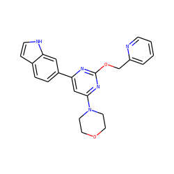 c1ccc(COc2nc(-c3ccc4cc[nH]c4c3)cc(N3CCOCC3)n2)nc1 ZINC000060325361