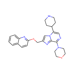 c1ccc2nc(OCc3cn4c(C5CCNCC5)cnc(N5CCOCC5)c4n3)ccc2c1 ZINC000222020870