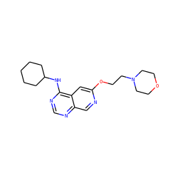 c1nc(NC2CCCCC2)c2cc(OCCN3CCOCC3)ncc2n1 ZINC000040395643